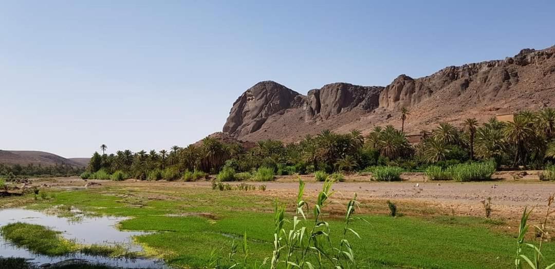 Ecolodge Bivouac Des Aigles Варзазат Екстериор снимка